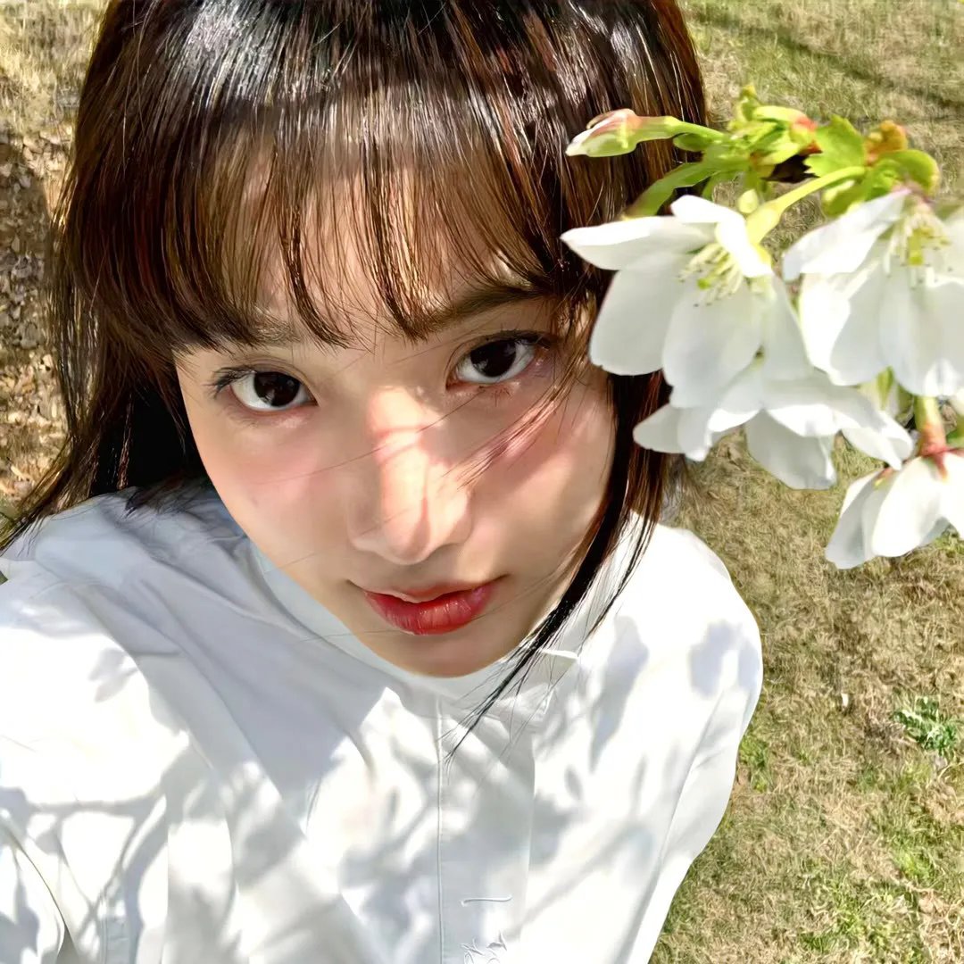 姐妹四城
